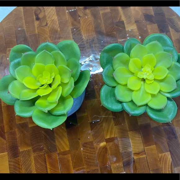 Faux Succulent, in 3”H circular pot (2 available for individual purchase) - Picture 11 of 11